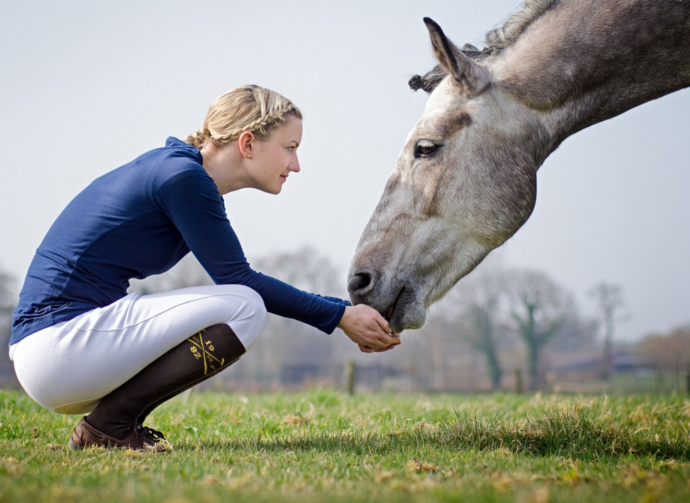 Voor de laatste keer afscheid van uw gestorven paard Voor de laatste keer afscheid van uw gestorven paard